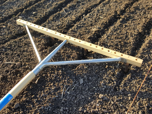 Progression of Planting the Spring Grains (2021)