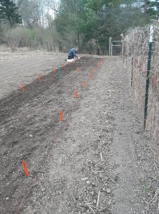beginning of spring grain planting season