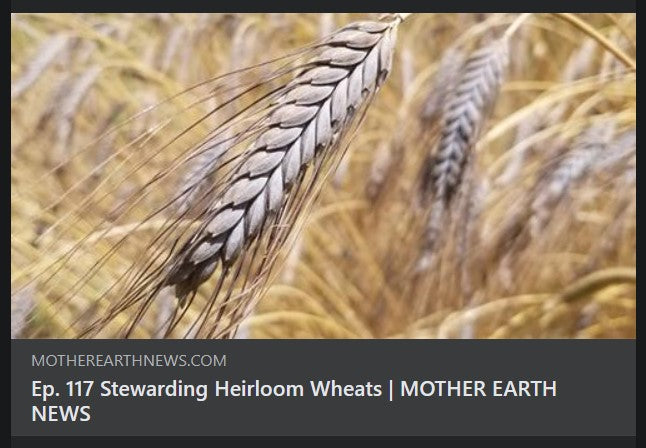 Great Lakes Staple Seeds is featured in a Mother Earth News Podcast!