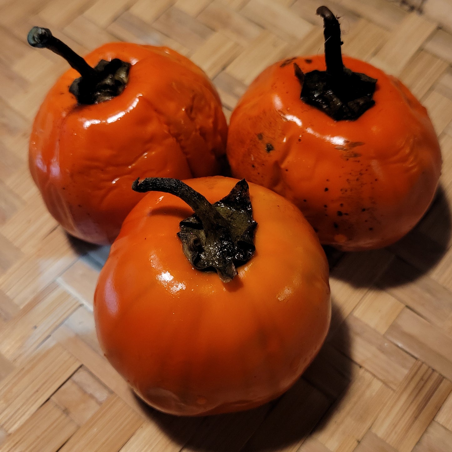 Rotonda Red Eggplant