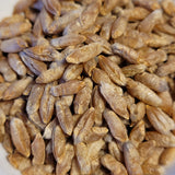 Hungarian Triticale seeds