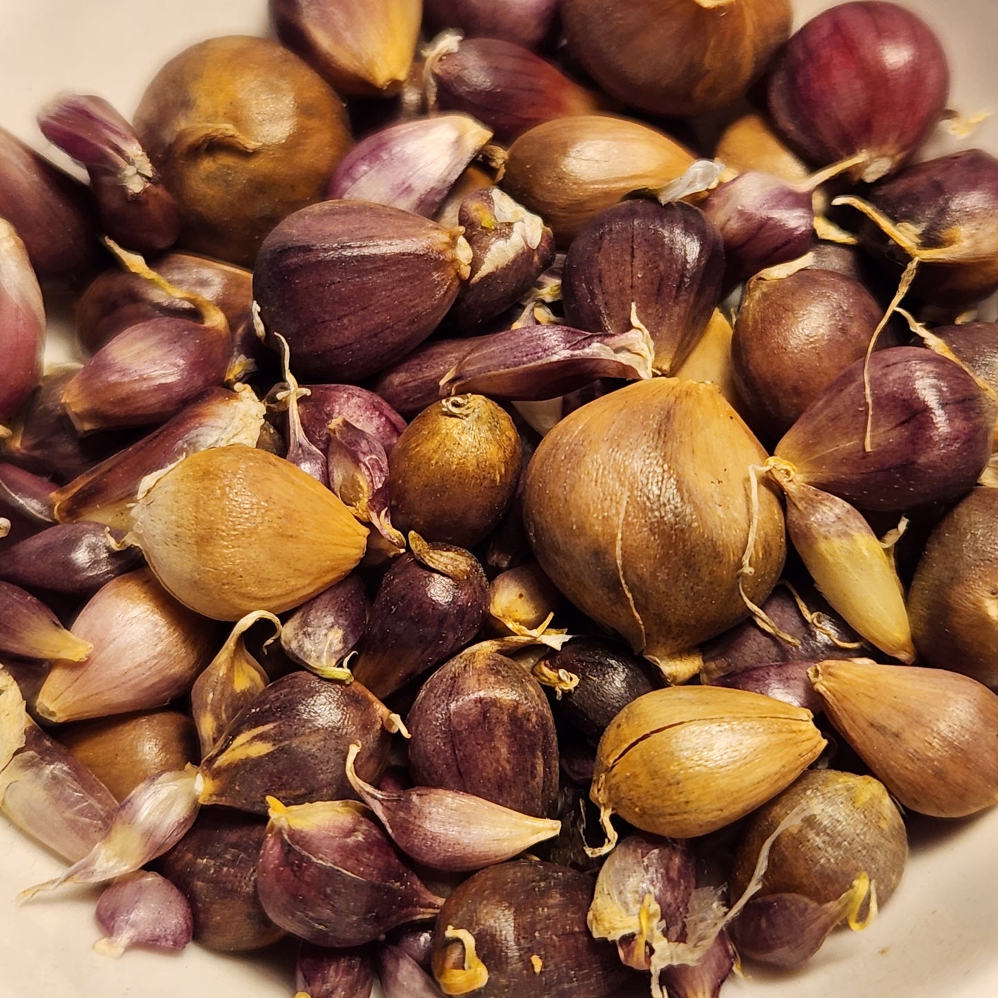 Garlic Bulbils