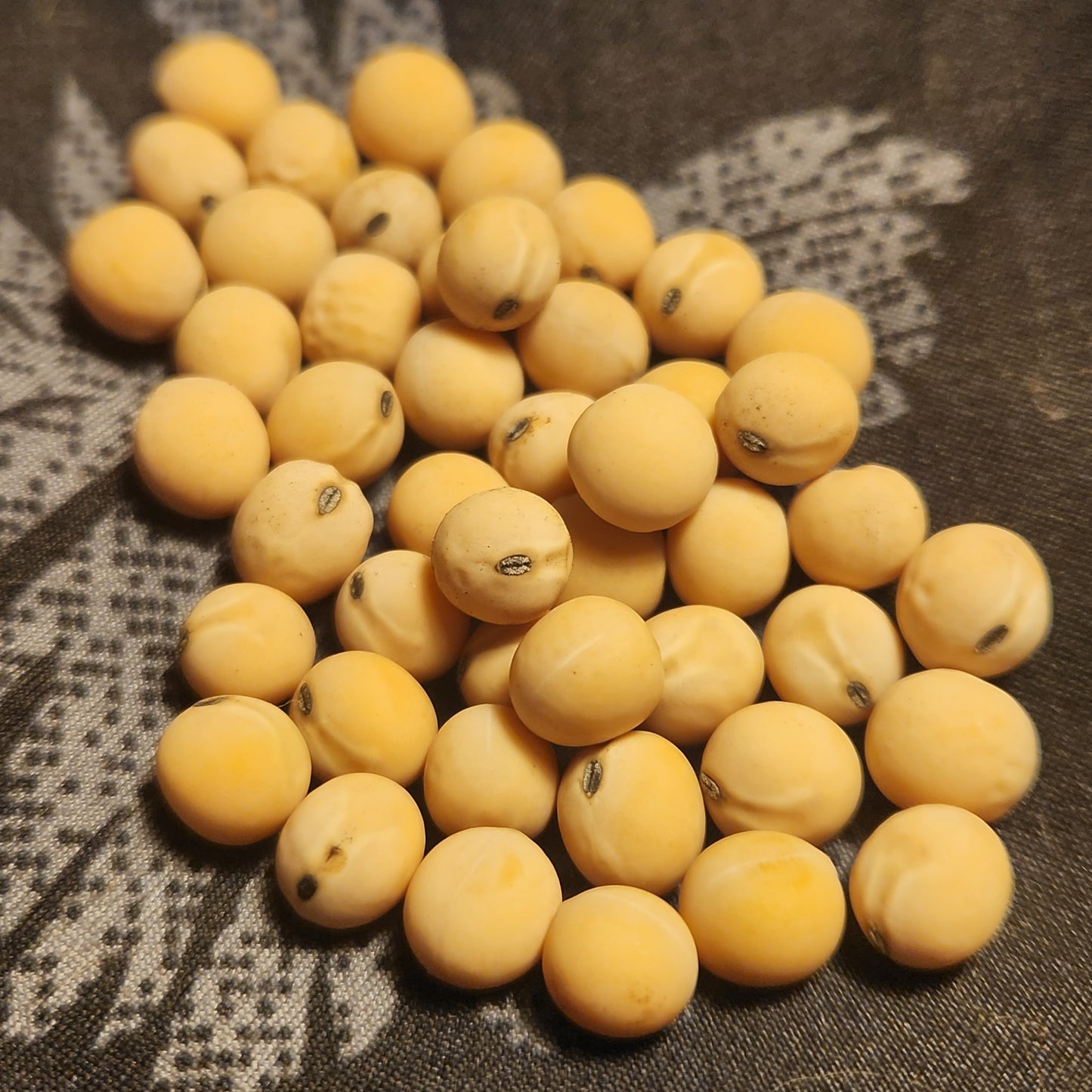 Black-eyed Marrowfat Pea