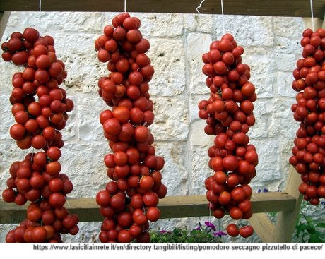 Pomodoro Pizzutello Di Paceco Tomato