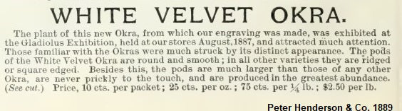 White Velvet Okra