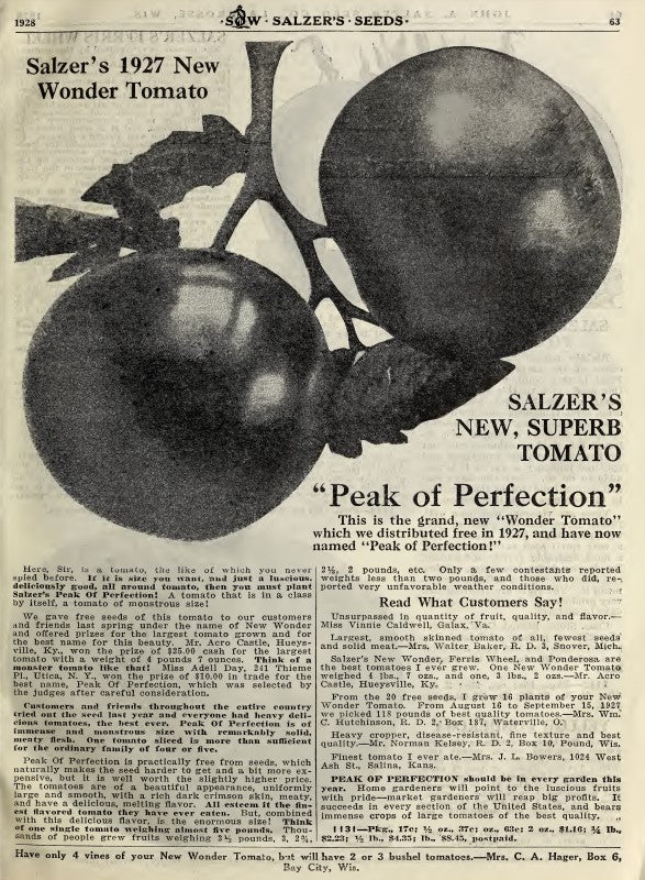 Peak of Perfection entry in Salzer's 1928 catalog