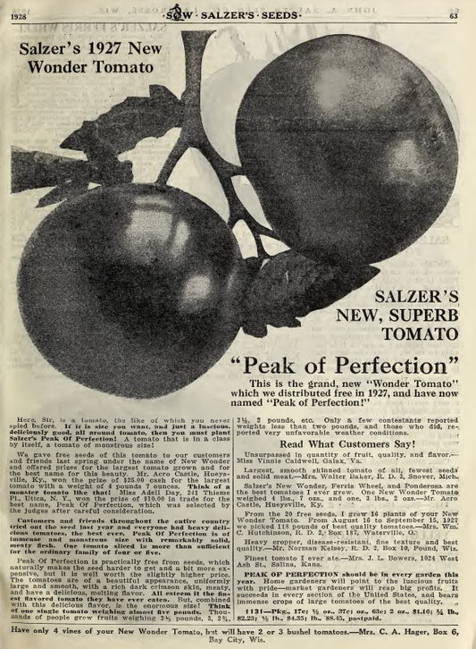 Peak of Perfection entry in Salzer's 1928 catalog