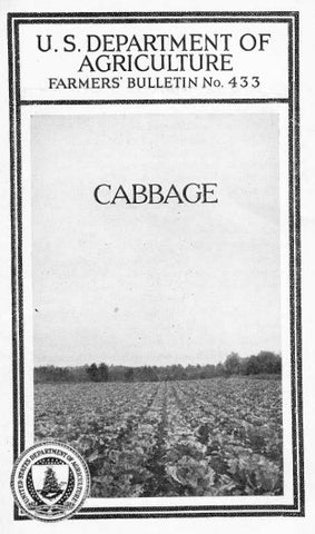 Cabbage (1930) Cabbage