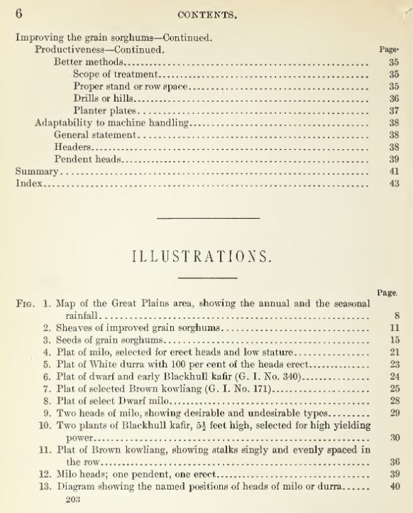 Sorghum (1911) The Importance and Improvement of the Grain Sorghums
