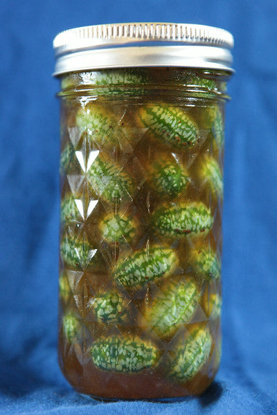 a jar of cucamelon pickles