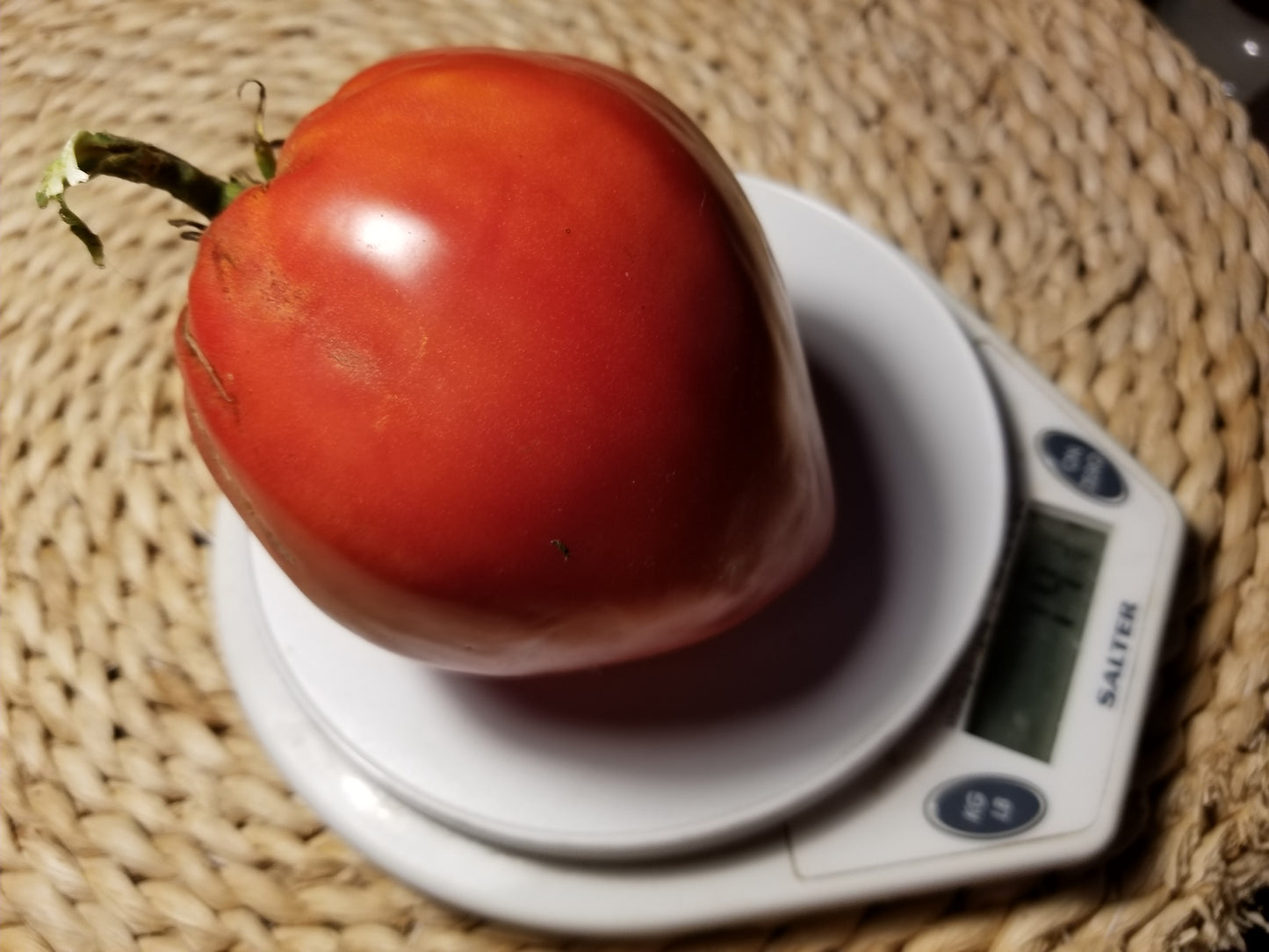 Indiana Red Tomato
