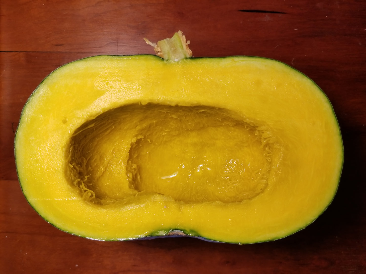 Stella Blue Squash