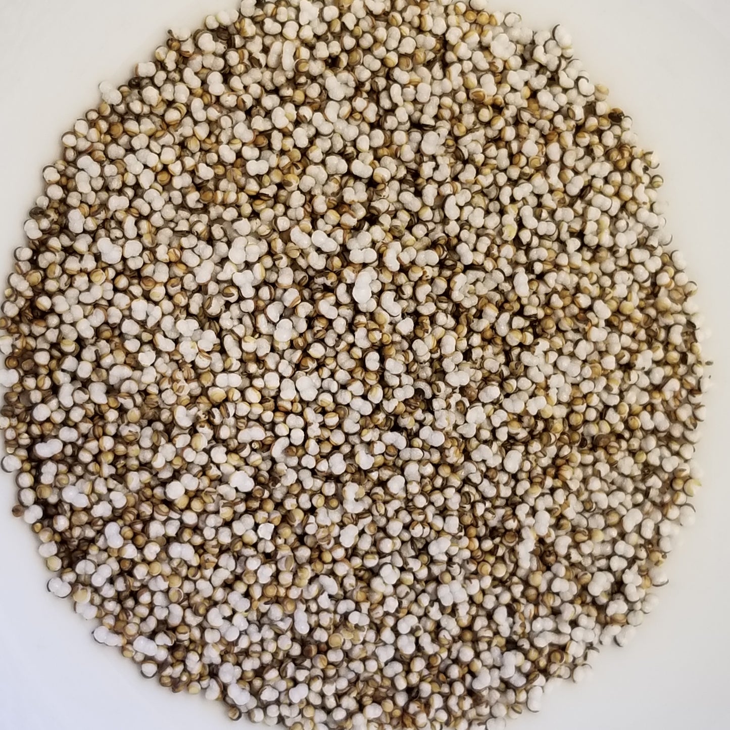 Hot Biscuits Amaranth dry popped in a hot pan