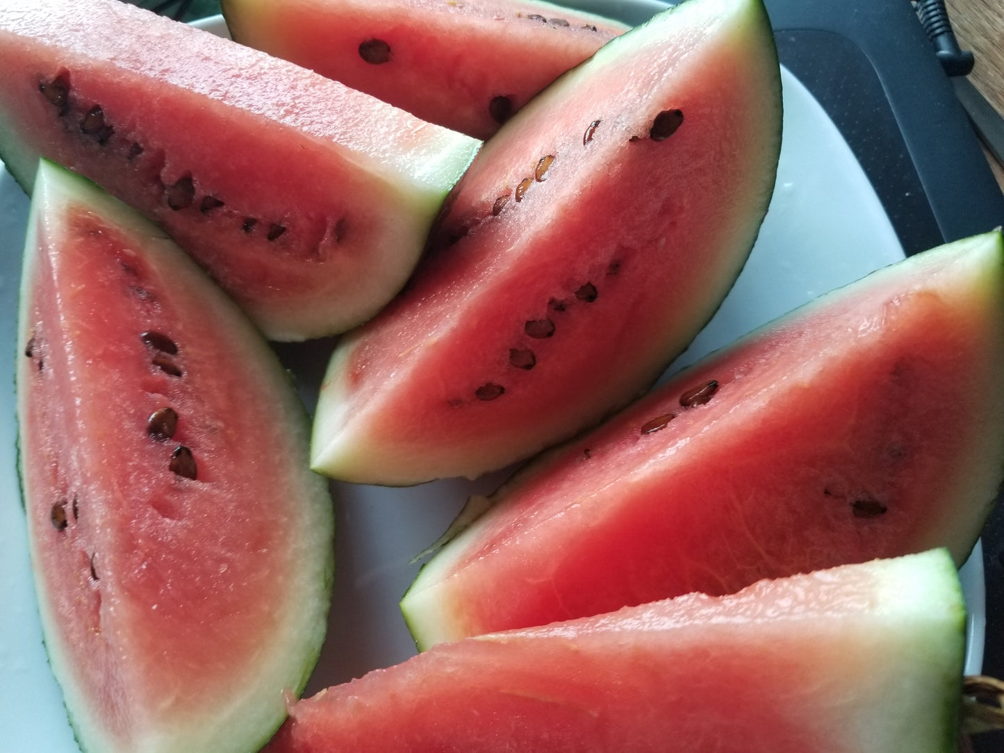 Blacktail Mountain Watermelon