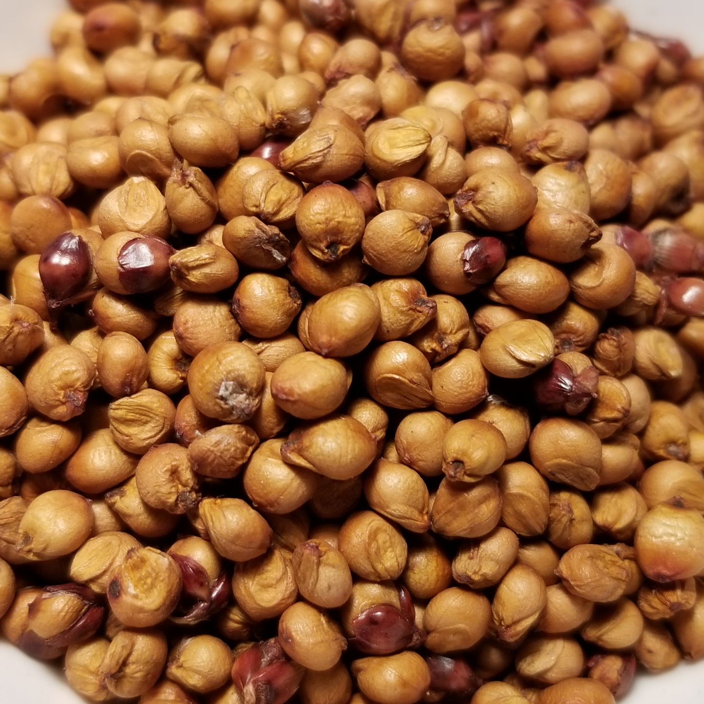 Ba Yi Qi (Ba-Yi-Qi) Sorghum