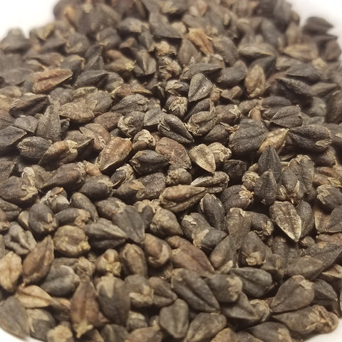 seeds of Tartary Buckwheat