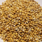 Limelight Millet seeds