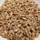 Viglasska Wheat