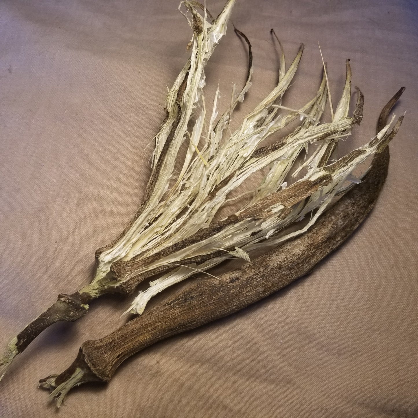 White Velvet Okra