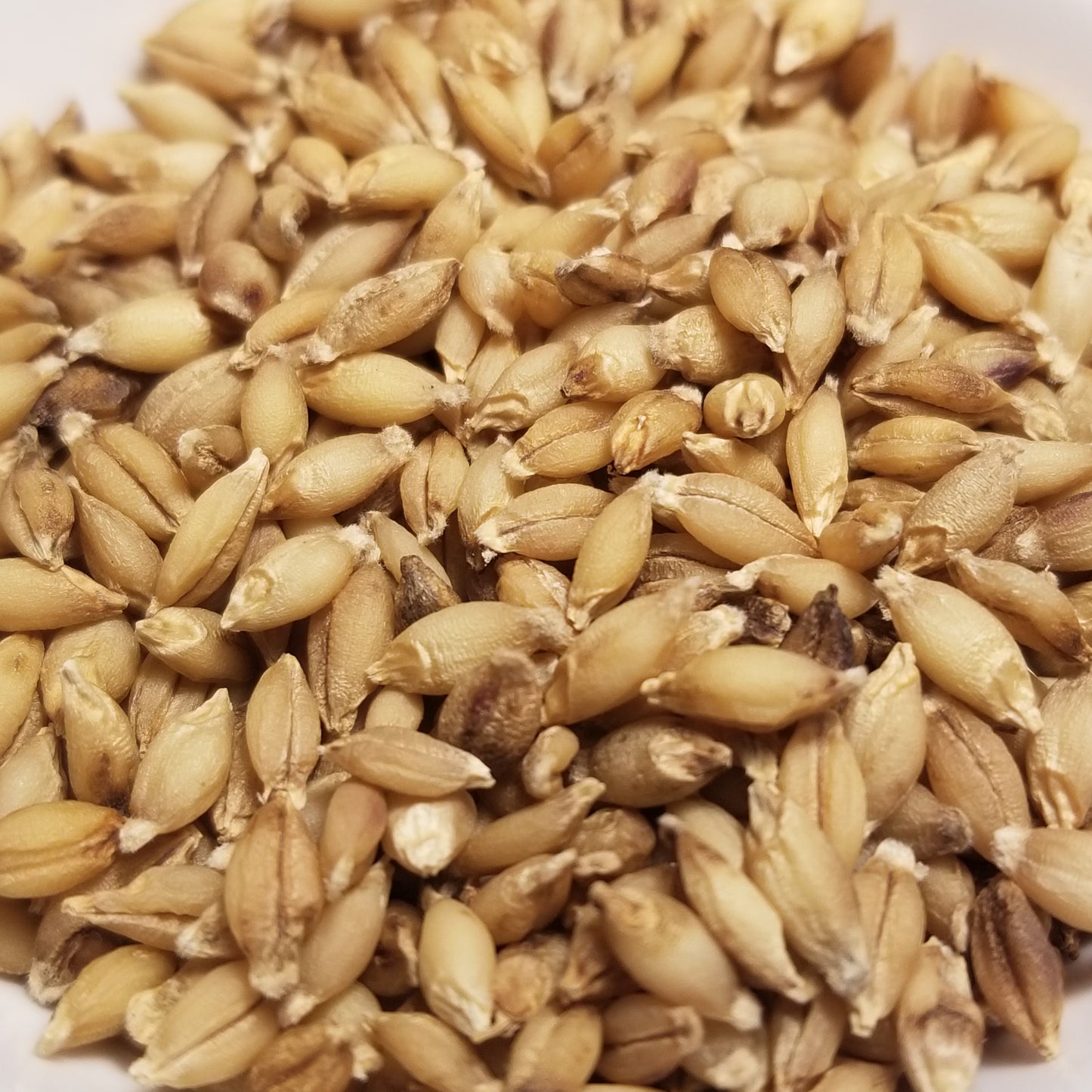 Dango Mugi Barley