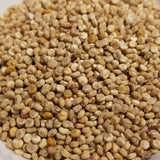 seeds of Multi-hued Quinoa