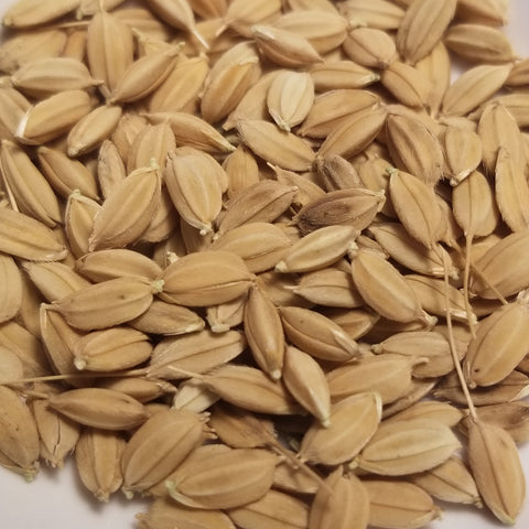 Oirase Rice seeds