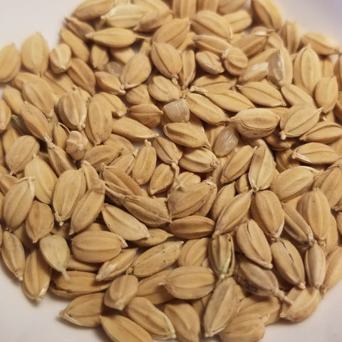 Shin Setsu Rice seeds