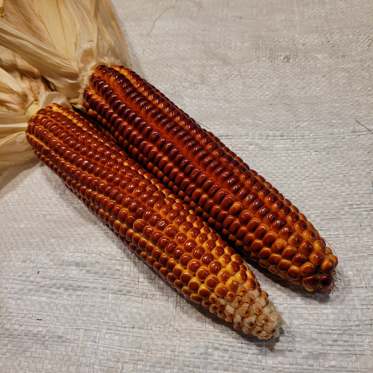 Red corn discount
