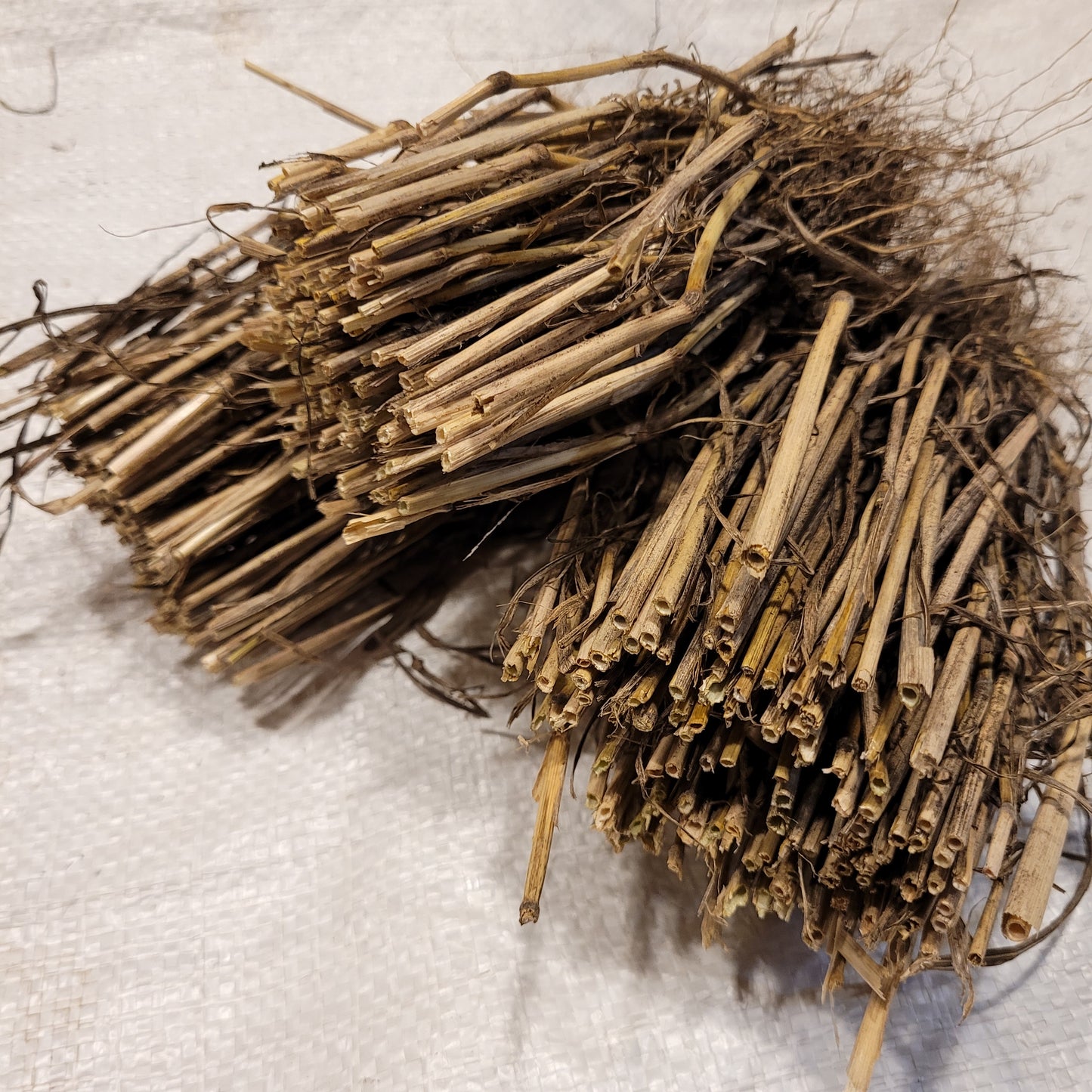 Ble Dur Arcour Einkorn
