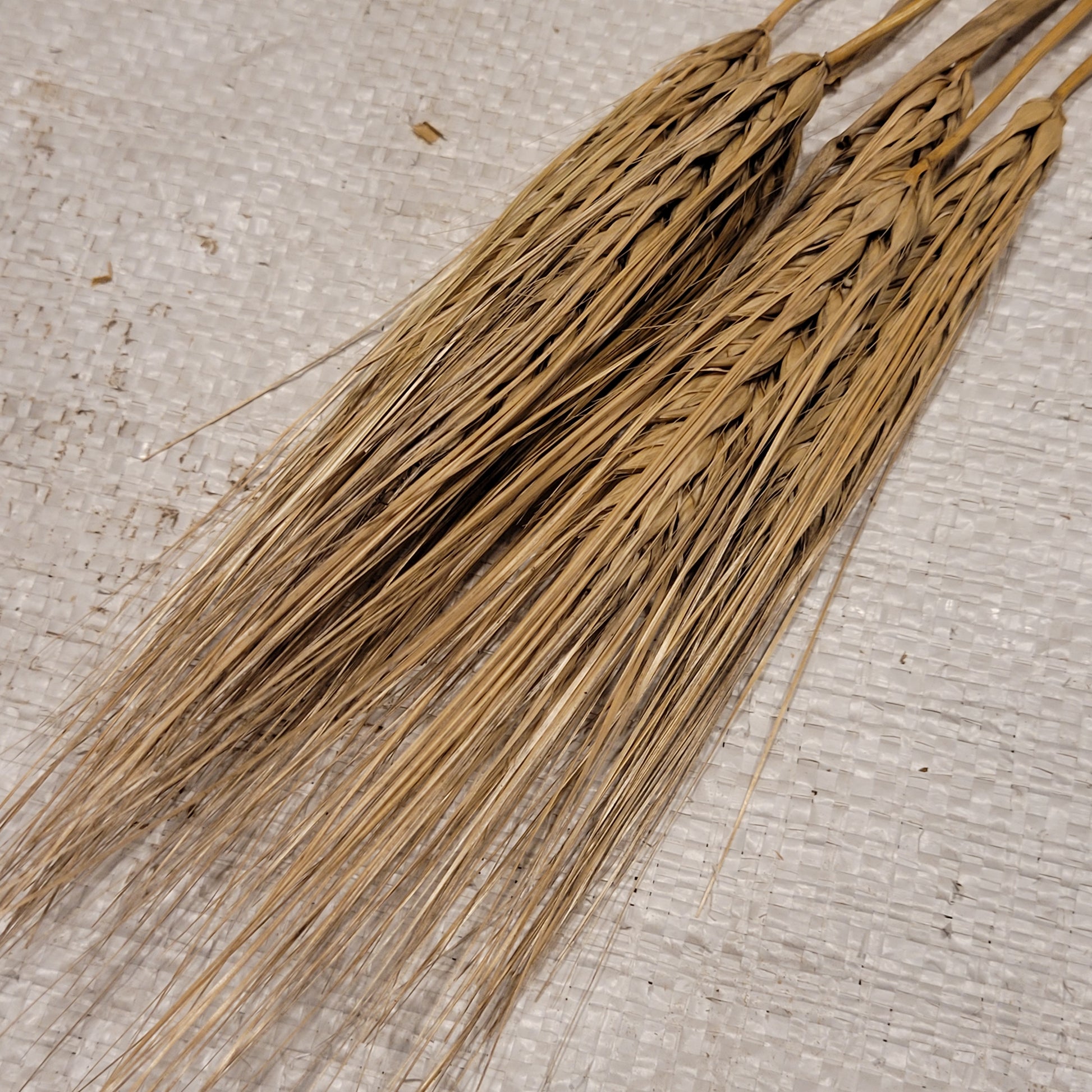 Naked Food Barley 113-204