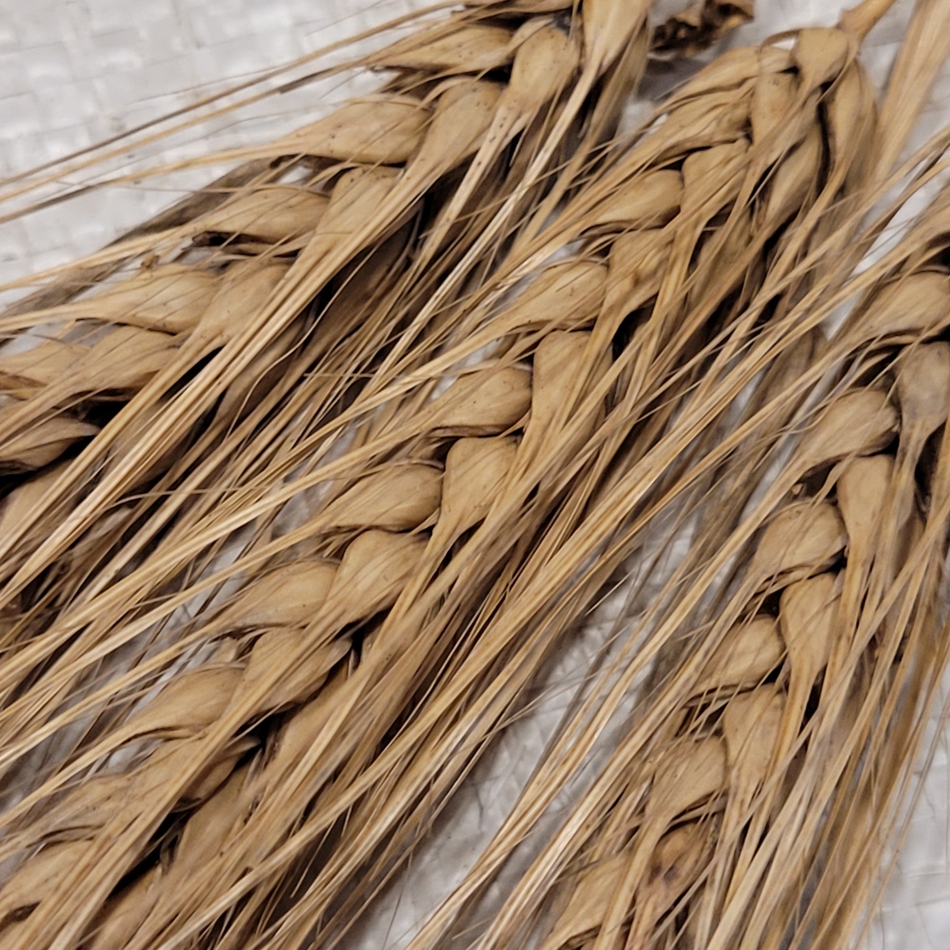 Naked Food Barley 113-834