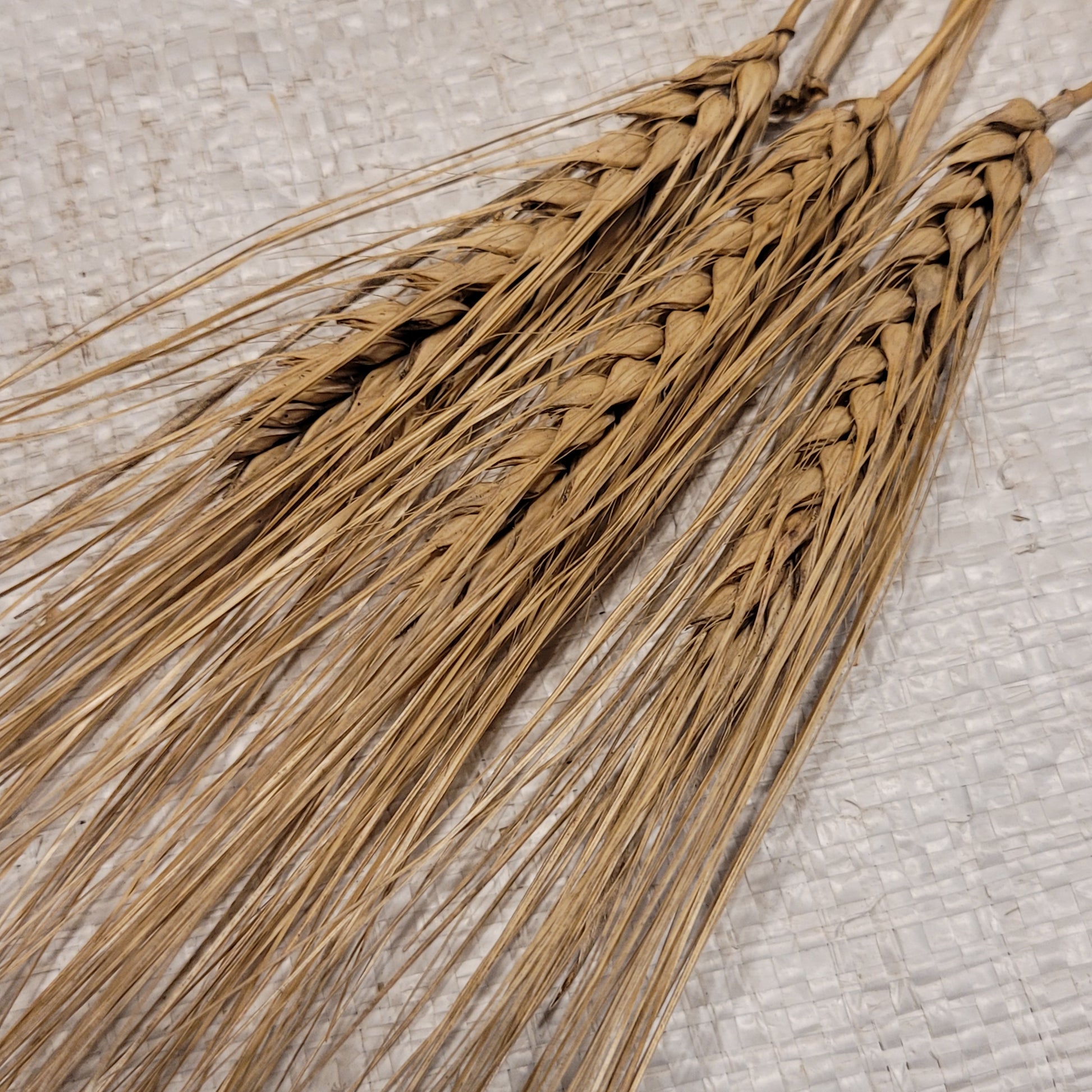 Naked Food Barley 113-834