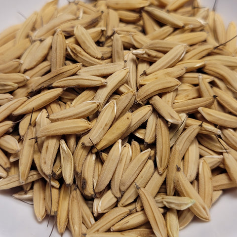 Dellmati Rice (Basmati) seeds