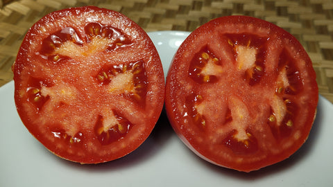 sliced Cipolla's Pride Tomato