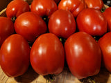 Cipolla's Pride Tomato