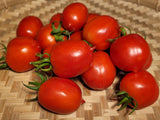 Tomàquet de Penjar Tomato