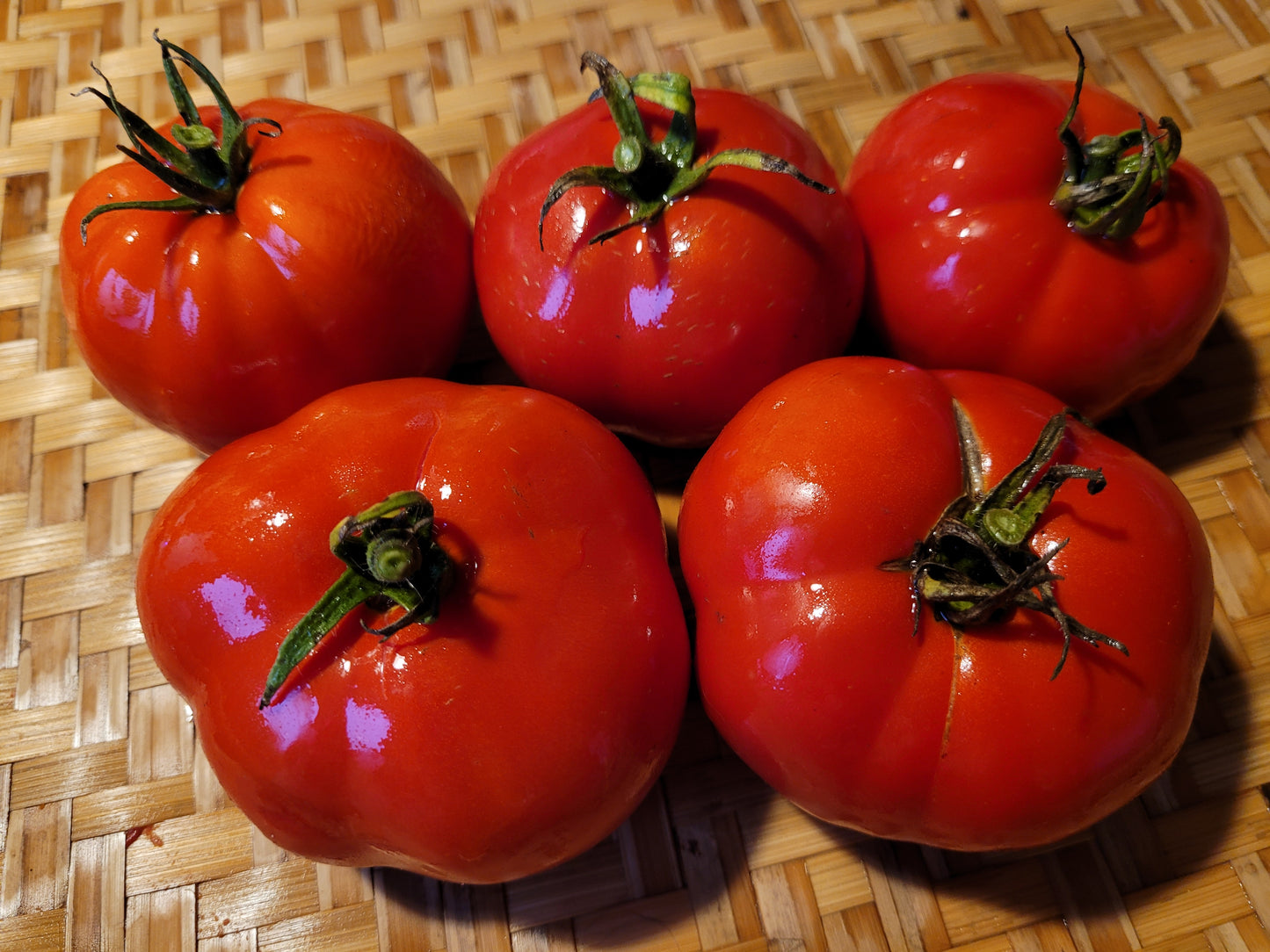 Five vine ripened red slightly fluted Pera Tipo Cosentino Tomatoes recently picked, washed and ready for enjoyment