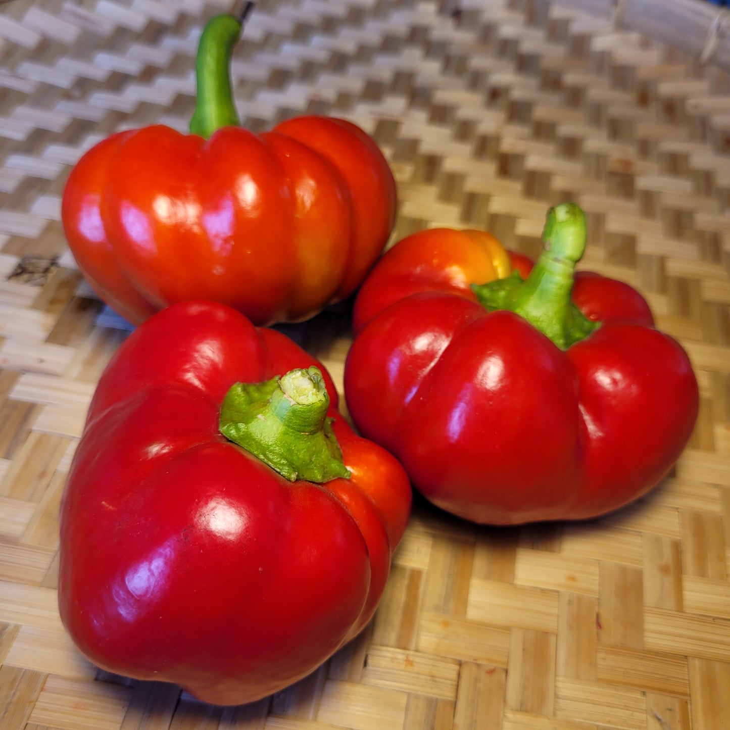 Hussli Tomato Pepper