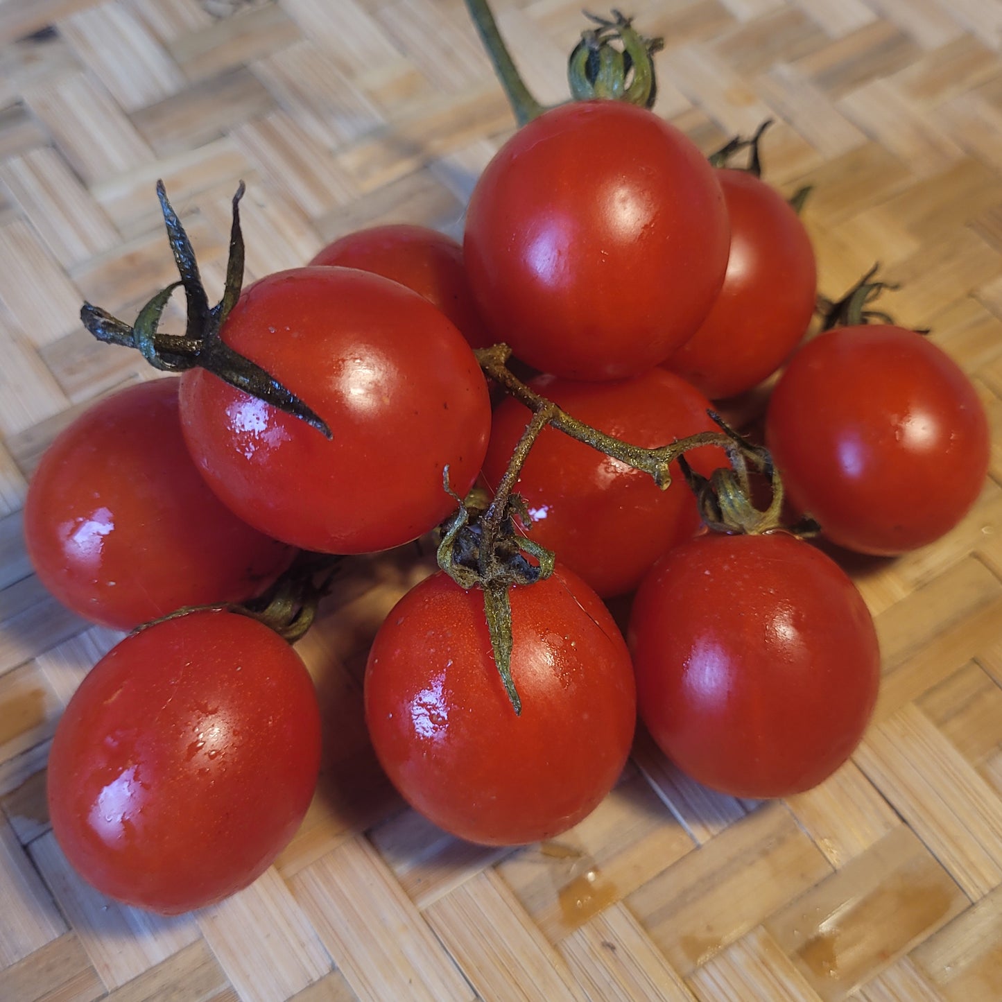 Grappolo d' Inverno Tomato