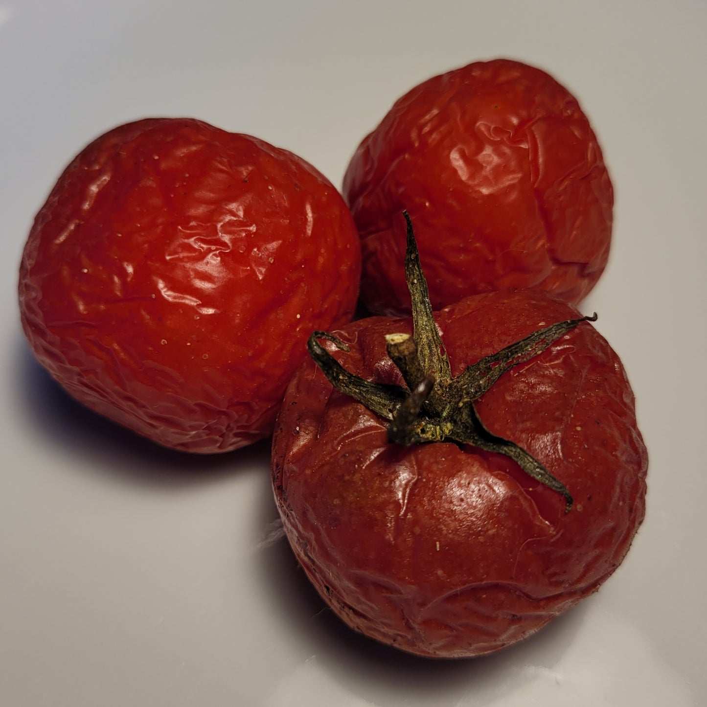Three Banyalbufar tomatoes in mid-December, two months after harvestr