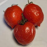 Banyalbufar Tomato in mid December
