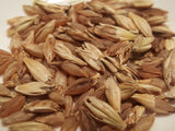 Karan 163 barley seed (Karan-163)