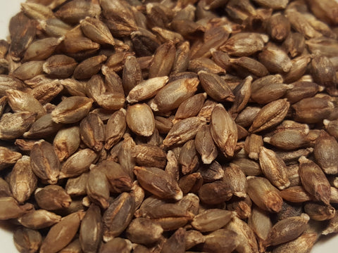 Faust Barley seeds
