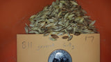Karan 351 Barley hulled seeds as threshed