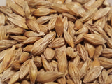 Sardinian Barley seeds