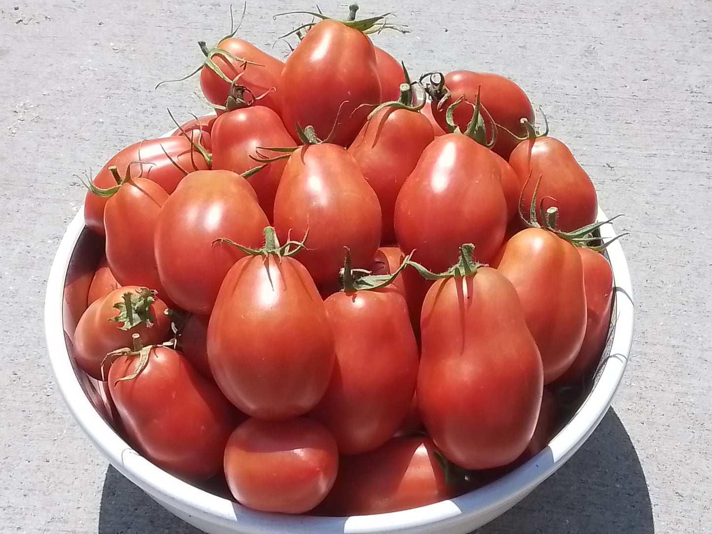 De Barrao Tomato