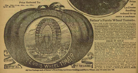 Salzer's Ferris Wheel Tomato