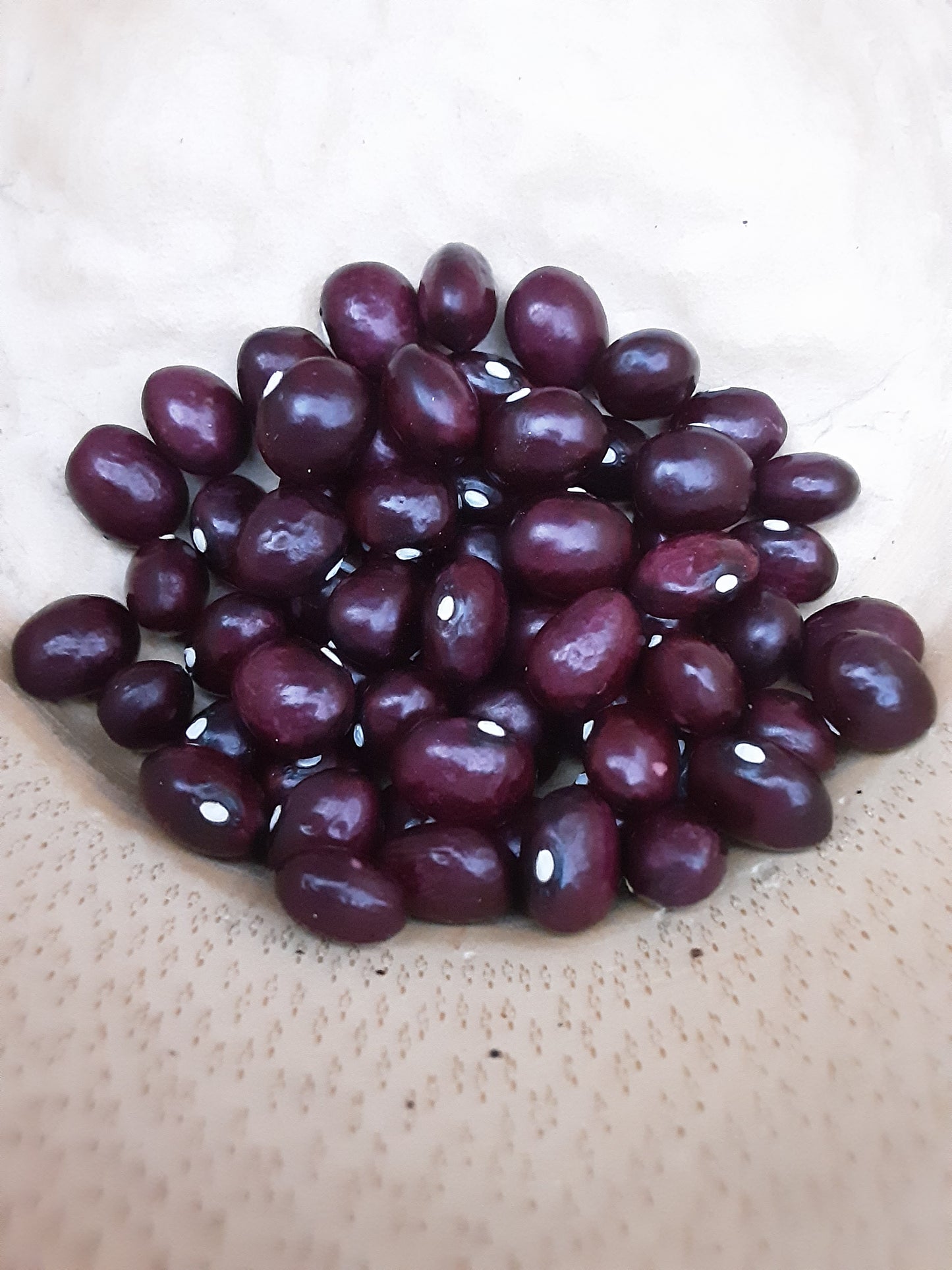 Blanche McGhee Climbing Bean