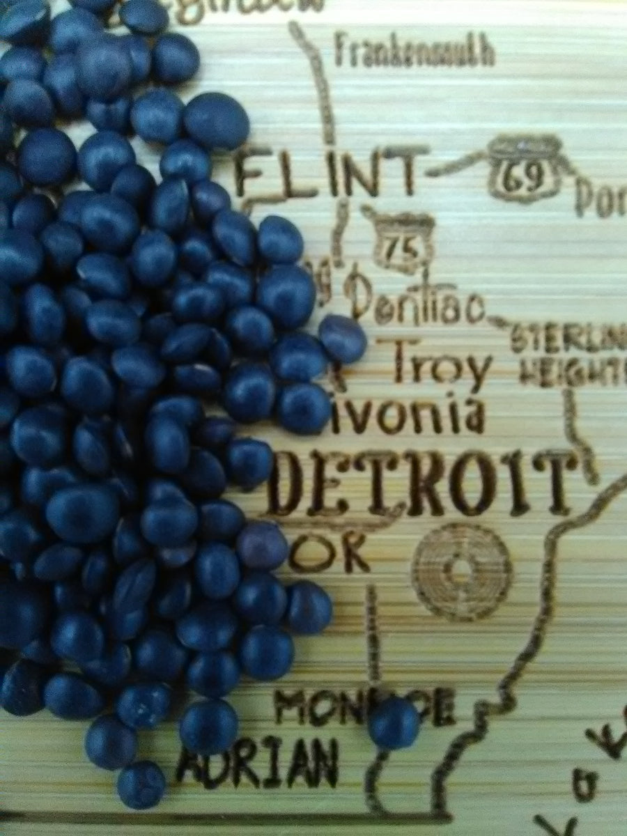 Black Beluga Lentil Great Lakes Staple Seeds