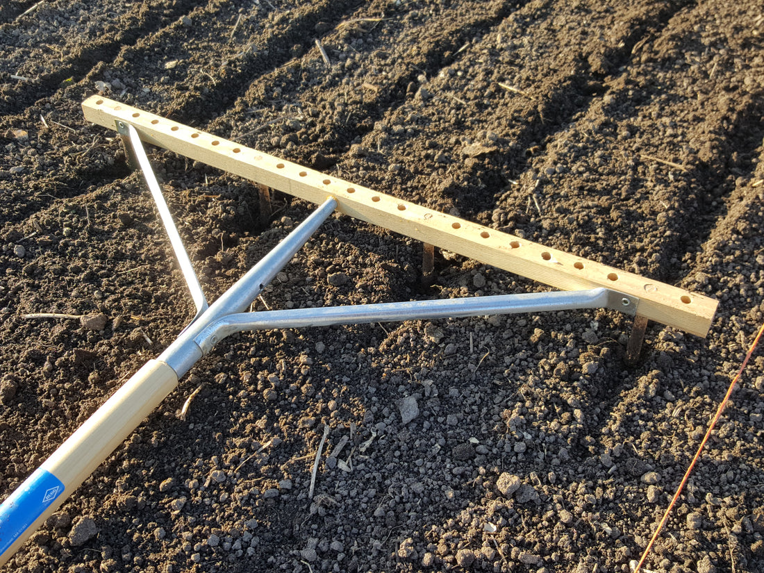 Progression of Planting the Spring Grains (2021)
